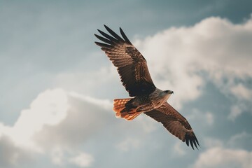  A bird soaring through the sky. Generative AI
