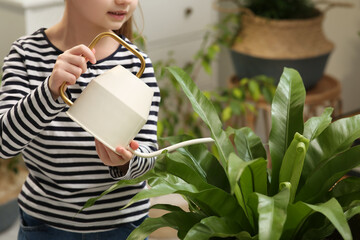 Little girl watering beautiful green plant at home, closeup. House decor