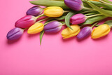 Fototapeta Tulipany - Beautiful tulips on pink background, flat lay. Space for text