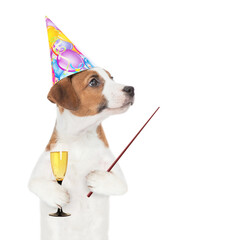 Poster - Funny Jack russell terrier puppy wearing party cap holds glass of champagne and points away on empty space. isolated on white background