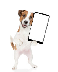 Aufkleber - Jack russell terrier puppy holds big smartphone with white blank screen in it paw, showing close to camera. isolated on white background