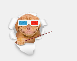 Poster - Happy puppy wearing 3d glasses looking through the hole in white paper and pointing away on empty space