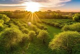 Fototapeta  - bright and sunny day in a lush green field. Generative AI