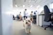 Small West Highland White Terrier dog in office with working people in background. 