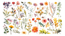 Set Watercolor Wild Flowers, Leaves And Grass. Collection Botanic Garden Elements. Vector Isolated Illustration In Vintage Style