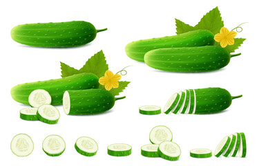 Wall Mural - cucumbers set. whole fresh cucumber, half, chopped, slices and cucumbers group. set of cucumber plan