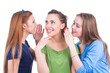 © danmorgan12 - Group of Three Positive Winsome Caucasian Girlfriends Sharing Their Secrets Whispering to Ears Isolated Over White