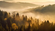 © Tn - Magical autumn forest with sun rays in the evening. Trees in fog. Colorful landscape with foggy forest, gold sunlight, and orange foliage at sunset