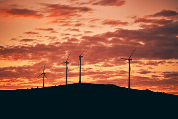 Wall Mural - wind mills before sunrise in spring 2