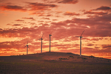 Wall Mural - wind mills before sunrise in spring