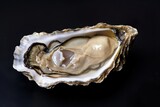 Fototapeta  - Fresh oyster,Black Background,Sea Food, Generativ AI