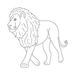 Sticker - Lion in line art drawing style. Vector illustration.