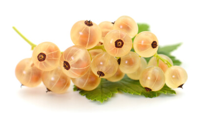 Sticker - White currants with green leaves.