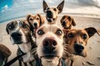 Macrophotography selfie of a group of dogs huddled together taking a group selfie on the beach, created with Generative Ai Technology