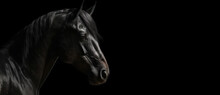 The Head Of A Horse In Profile Close-up. Panoramic Image Of The Head Of An Arab Steed On The Right Against The Background Of A Black Isolated Banner. Generative AI.