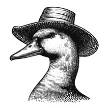 Goose Wearing Hat Sketch 