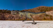 © DM7 - monster dinosaur is running in side view on the ice age