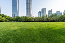Green Lawn With City Park