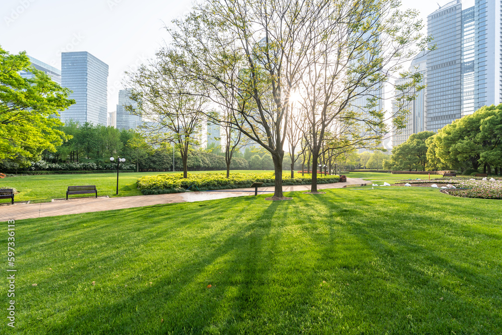 green lawn with city park Stock Photo | Adobe Stock