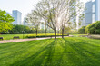 green lawn with city park