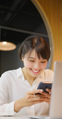 Canvas Print - asian happy businesswoman working