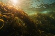 Sunlit kelp and seaweeds in Eastern Atlantic, Galicia. Generative AI