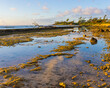 Early Morning Light Reflection on Tide Pools at Nukolii Beach, Kauai, Hawaii, USA