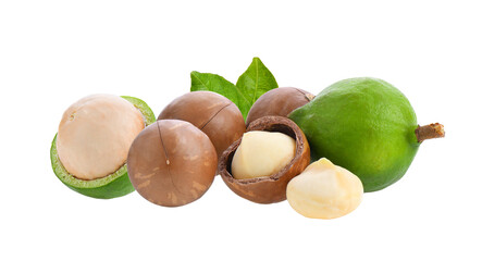 Canvas Print - macadamia nuts with leaf isolated on transparent png