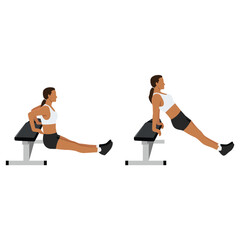 Wall Mural - Woman doing bench tricep dips exercise. Flat vector