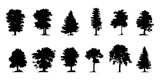 Fototapeta Lawenda - set of tree silhouettes