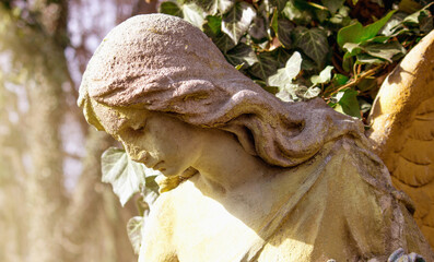 Beautiful angel face of a woman. Mercy and peace. (monument of the nineteenth century by an unknown author)