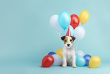 Cute Scruffy Puppy Dog Wearing A Party Hat Celebrating With Colorful Birthday Balloons