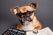 dog calculating taxes, created by a neural network, Generative AI technology