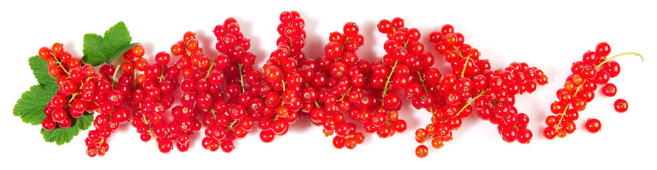 Wall Mural - Red Currants Panorama with Leaves isolated on white Background