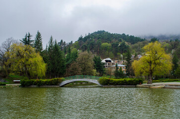 Canvas Print - lake in the park