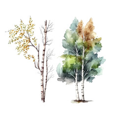 Wall Mural - Watercolor birch trees Russia tree Design element for wallpapers, web site background Vector illustration.