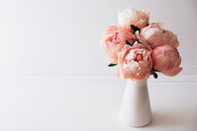 Beautiful Bouquet Of Fresh Coral Peony Flowers In Full Bloom In Vase. Floral Still Life With Blooming Peonies. Negative Space For Text.