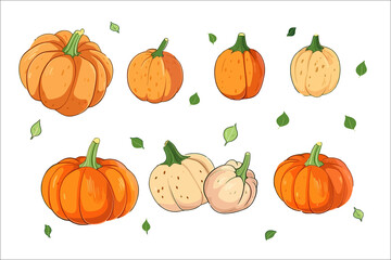 Poster - Cartoon crop squash. Isolated on background. Cartoon . Generative AI