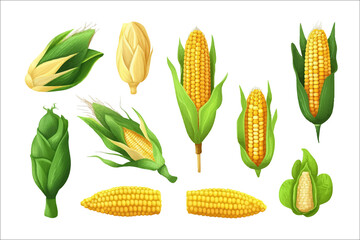 Poster - Cartoon kernels maize. Isolated on background. Cartoon . Generative AI