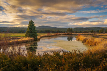 Wall Mural - 2021-11-20 THE DESCHUTES RIVER NEAR SUN RIVER OREGON WITH A NICE SKY AND MOUNT HOOD IN THE DISTANCE