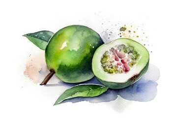 Beautiful Watercolor Drawing Feijoa On A White Background, Minimalist Style. Generative AI