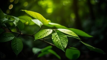 Poster - Green leaf with nature in a garden summer. Generative ai