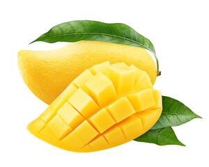 Wall Mural - yellow mango isolated on white background, full depth of field