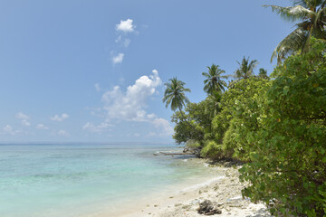 Poster - Beautiful tropical Maldives island with white sandy beach and sea