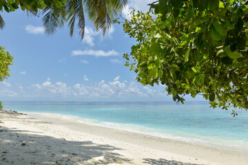 Wall Mural - Art beautiful untouched tropical sea beach