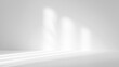 © Hanna - white studio room with sunlight and shadows background, empty white room place for design, white background