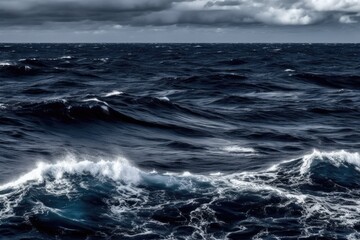 Wall Mural - serene and vast body of water captured in black and white. Generative AI