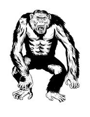 Wall Mural - Comics style drawing or illustration of an angry aggressive chimpanzee in fighting stance viewed from front on isolated background in black and white retro style.