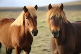 Fototapeta Konie - Horses in the field. Generative AI.