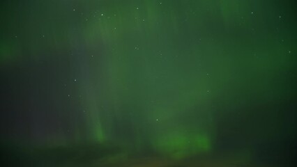 Wall Mural - Green light of Aurora Borealis covers the night sky. Time lapse. 